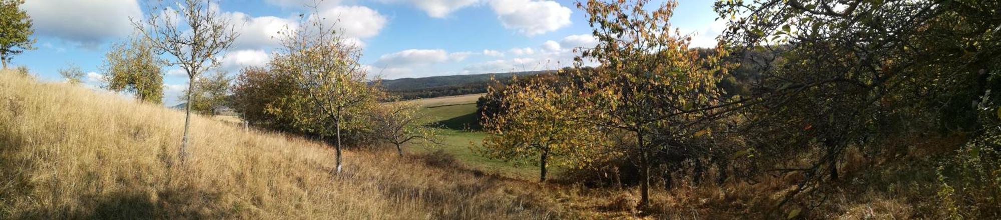 Ferienhof"Waldesel Rippersroda" Eksteriør bilde